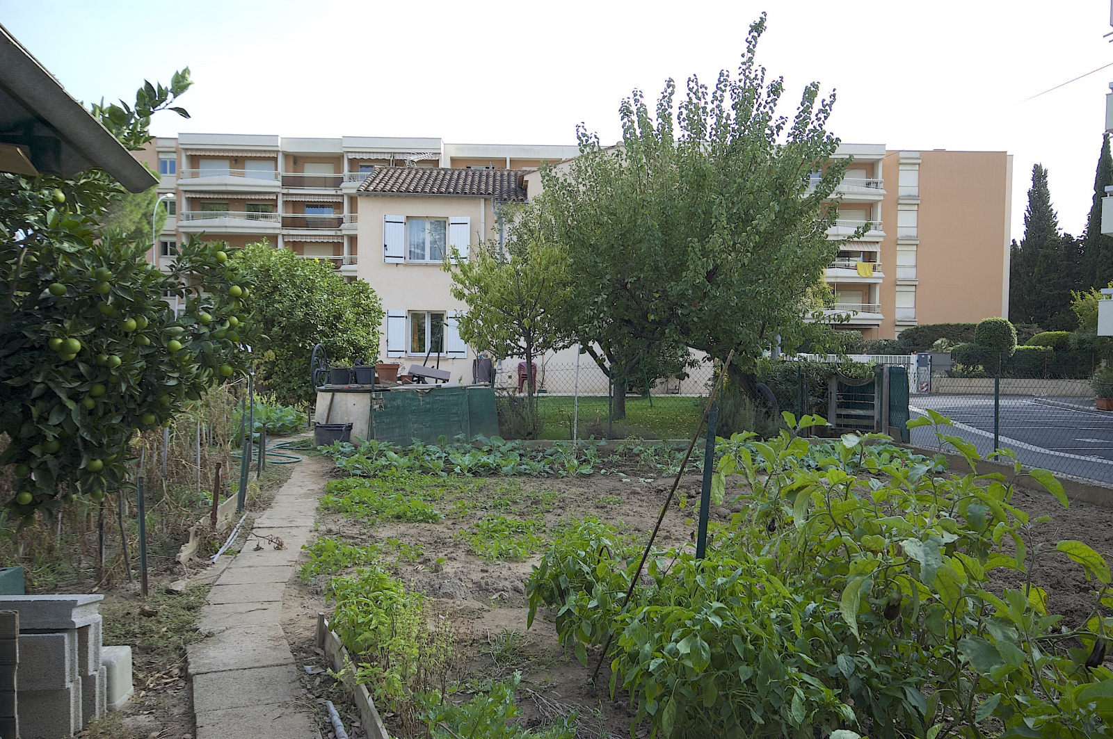 Image_22, Villa, Sainte-Maxime, ref :3666