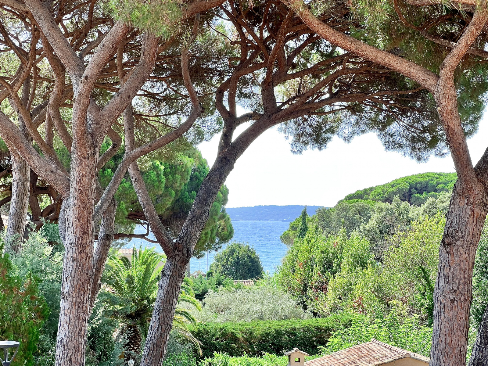 Image_14, Villa, Sainte-Maxime, ref :3701